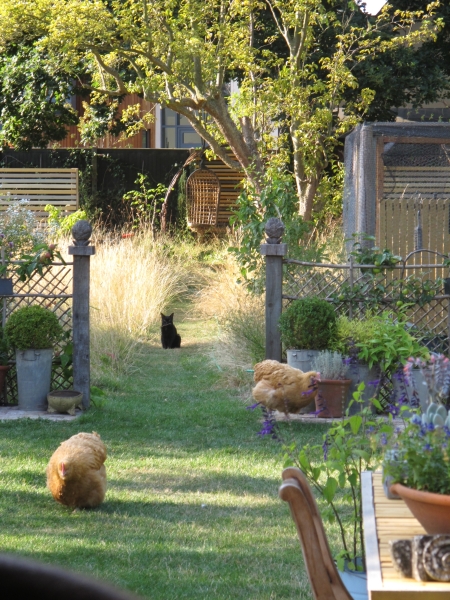 Whitstable Joy Lane Gardens